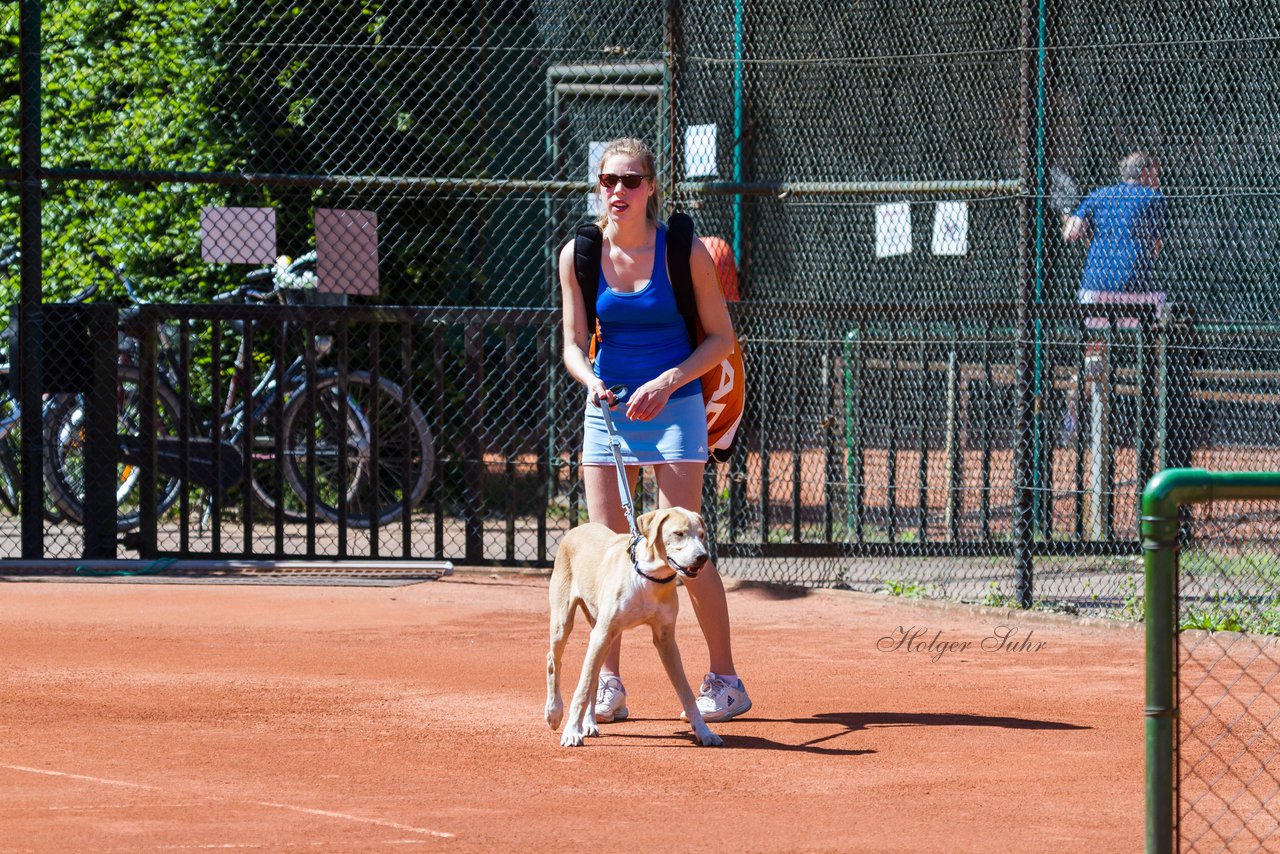 Bild 72 - VL TC Wedel e.V. - Marienthaler THC : Ergebnis: 6:3